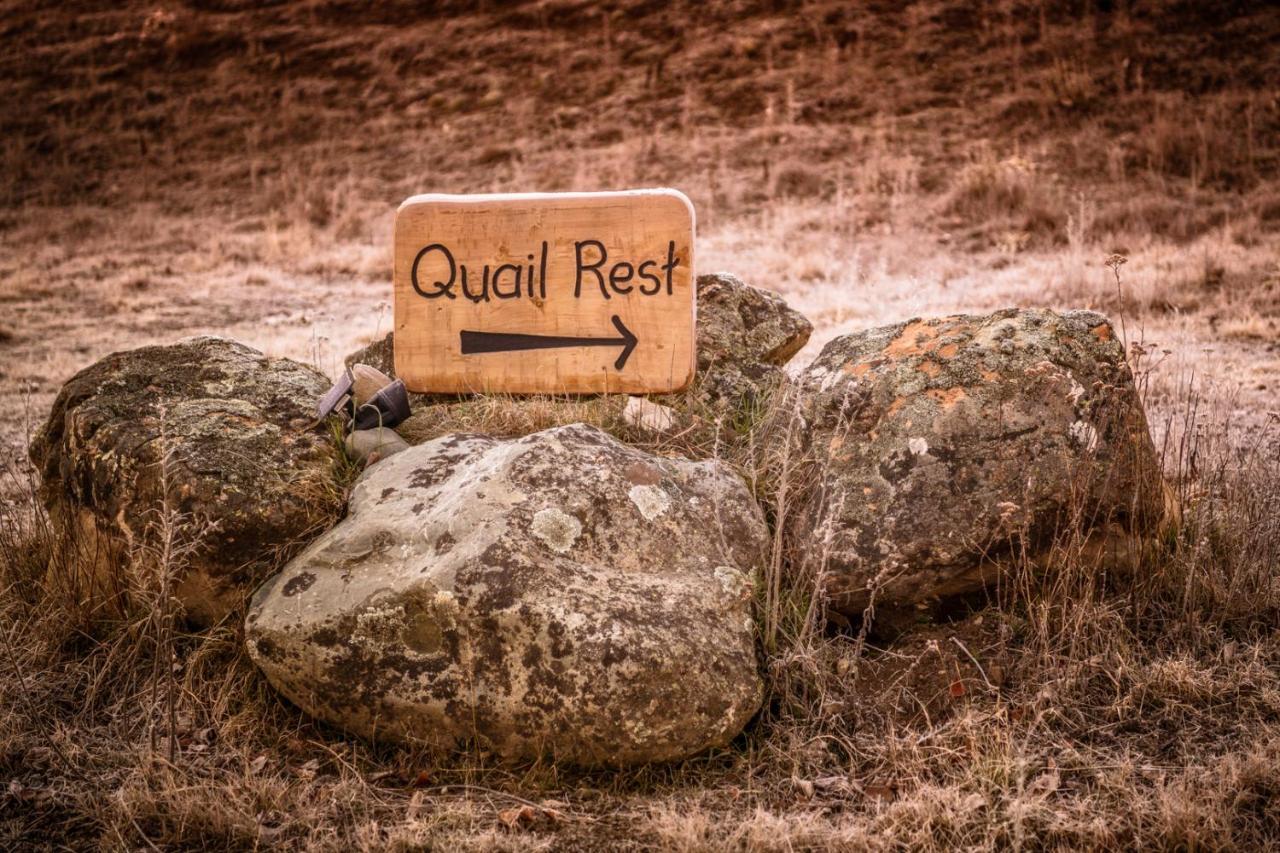 Quail Rest Villa Туизъл Екстериор снимка